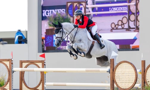 Springreiten